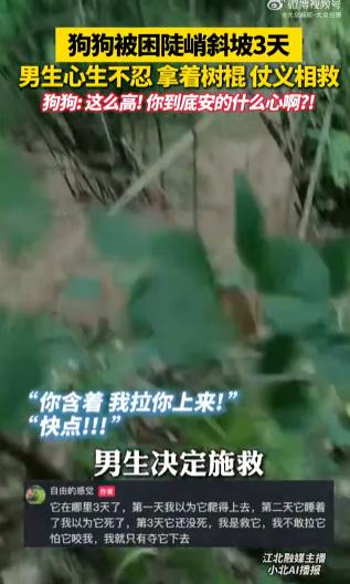 四川，一名男子三天内三次路过同一处陡峭山腰，每次都发现那只被困的黄狗。第三次，狗