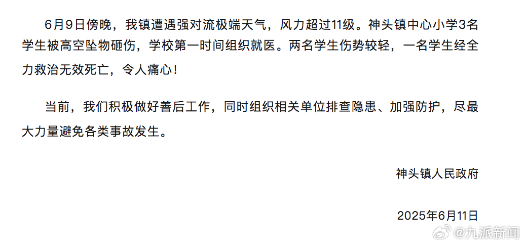 【痛心！#官方通报3名小学生被高空坠物砸伤#：2名学生伤势较轻，1名学生死亡】#