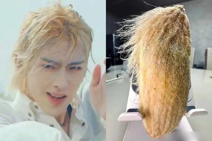 沈泉锐 瞅货李相沅 全球top漂亮小兔 