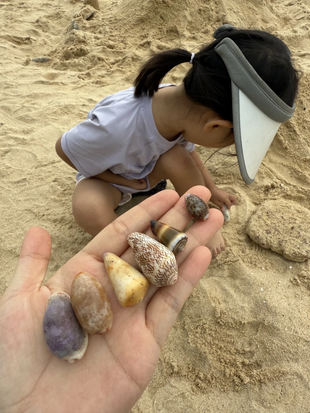 陵水-小赤岭 捡贝壳🐚