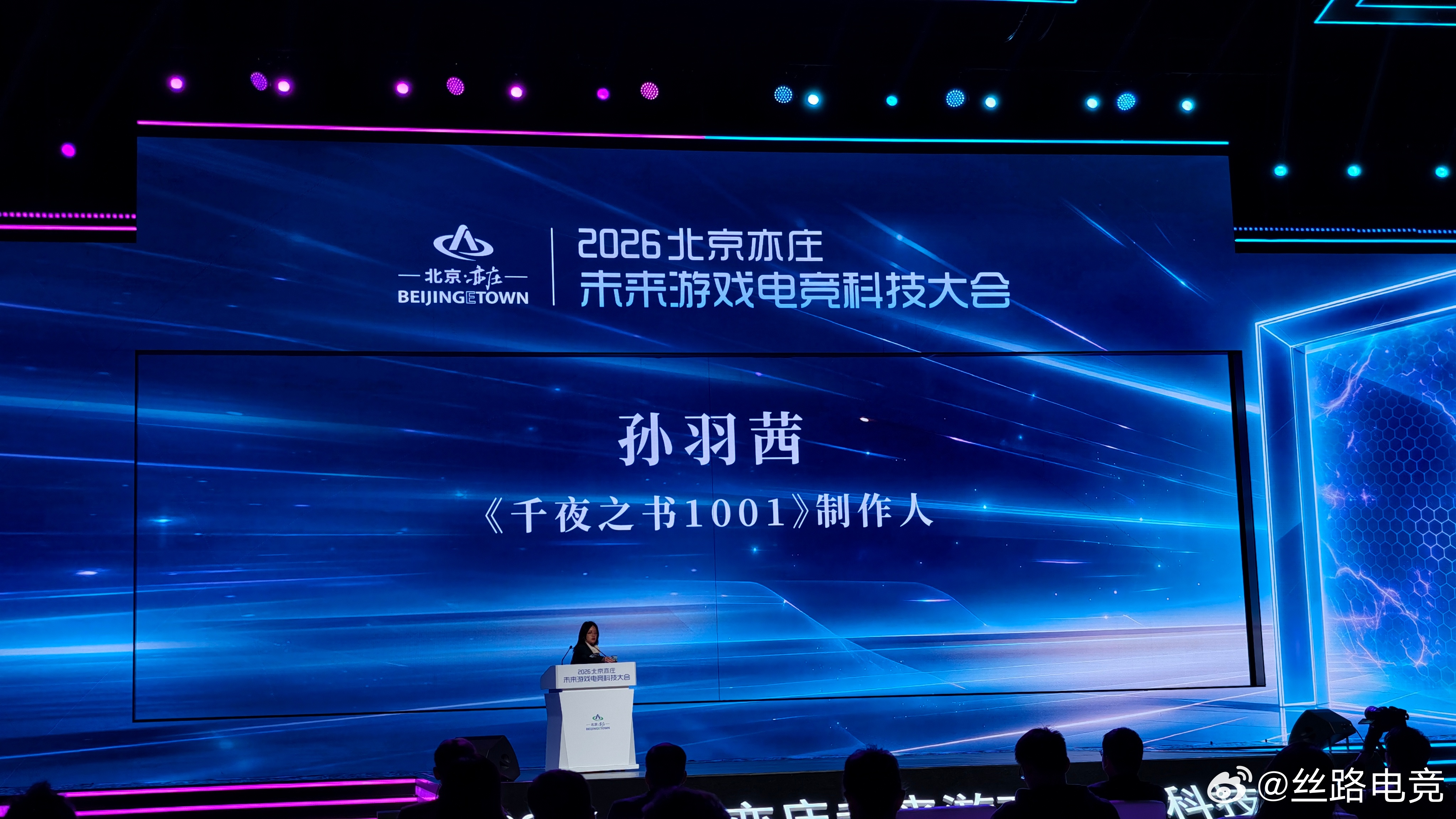 2026北京亦庄未来游戏电竞科技大会 [大学生能飞]感谢 孙羽茜|《干夜之书10