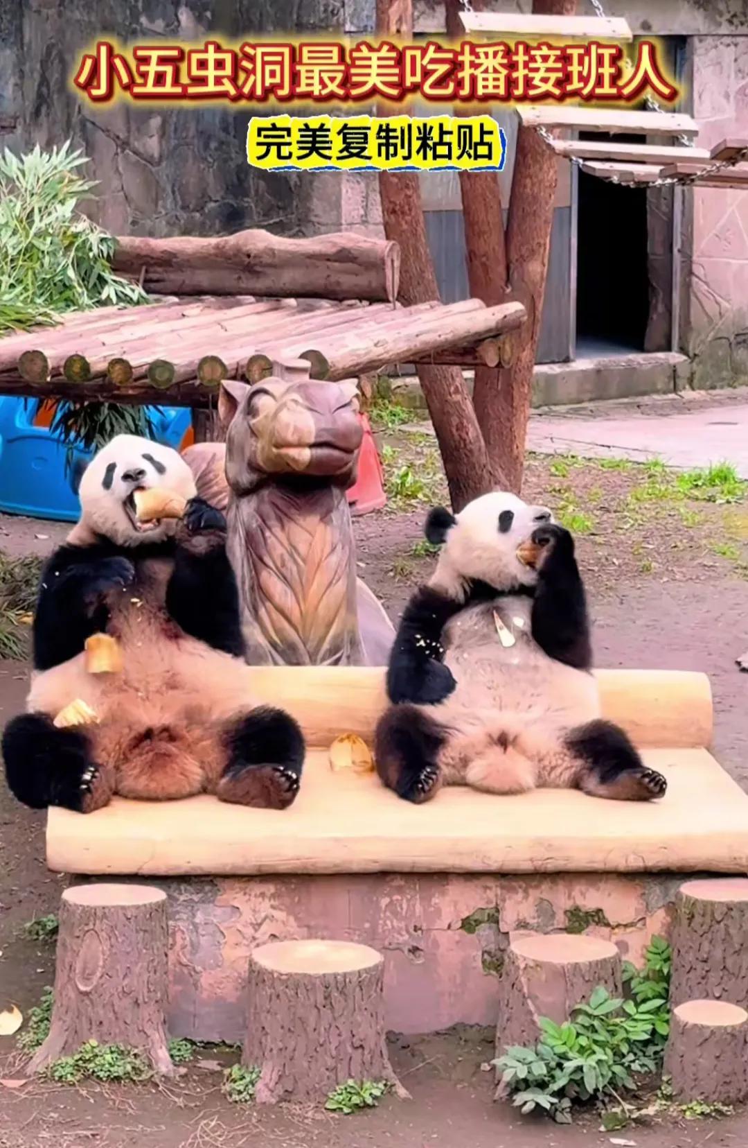 小五啊，确定和妈妈莽仔不是姐弟吗？
和妈妈吃笋神同步真的不多见，这种神同步最多在