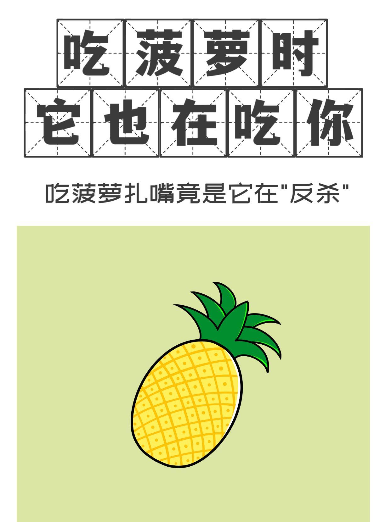 吃菠萝时它也在吃你你知道吗？菠萝中含有的菠萝蛋白酶，能分解蛋白质。当我们大快朵颐