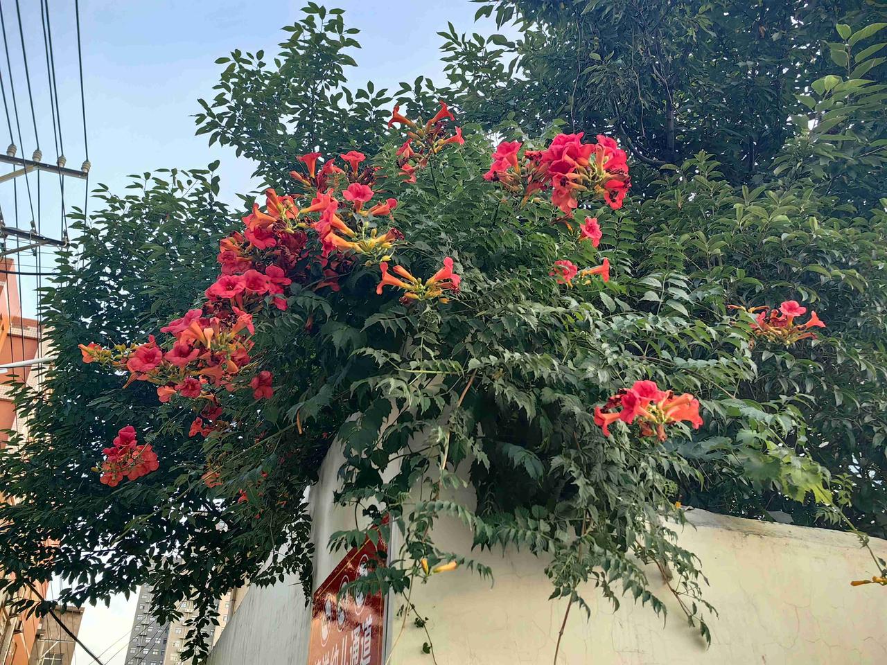 我的今日状态：😁轻松愉快
我这里的天气：☀️晴天