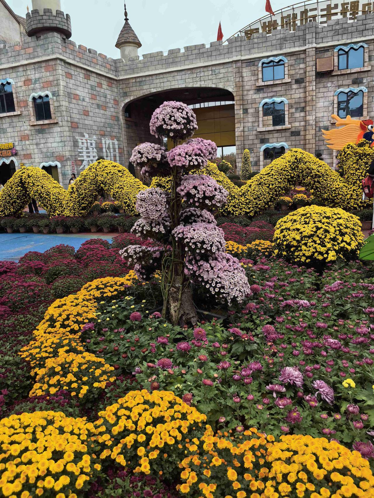 我的今日状态：🏝️旅行度假
我这里的天气：☀️晴天

趁天气好，带孩子去动物园