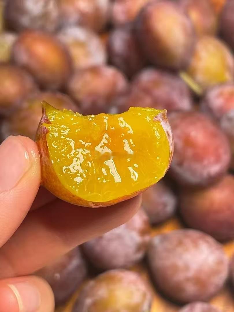今年的西梅有多卷？我甚至看到了18.8/5斤的某直播间截图。连空运运费都包不住，
