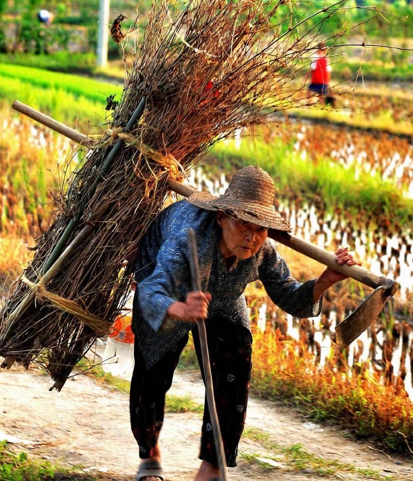 被忽略的养老真相：你看不见的农村老人“再就业”
你说，人活到六十多岁，是不是该歇