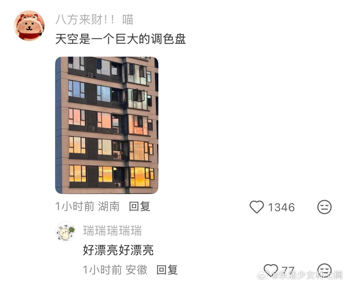 真正的大地色眼影盘 