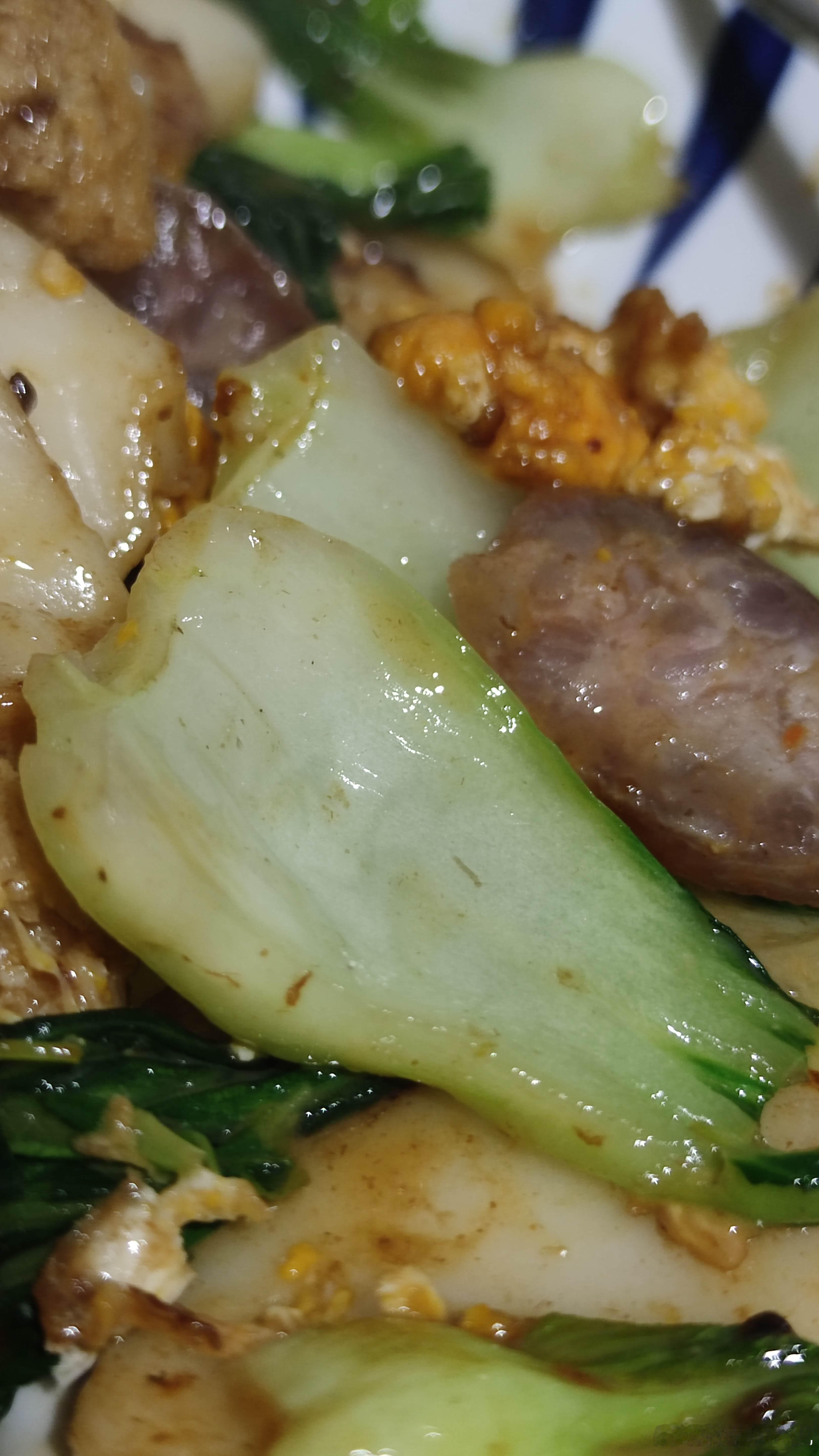 冬天最好吃的菜是青菜，霜打后的青菜。大大的叶子，是糯的；厚厚的根部，象瓜，脆脆甜