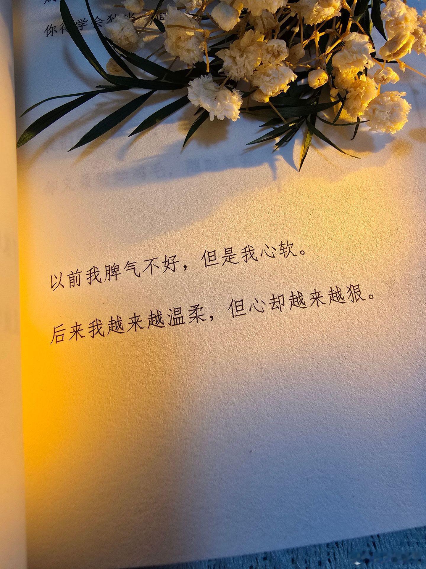 别惹那个越来越温柔的人🤐 以前我脾气不好，但是我心软。后来我越来越温柔，但心却