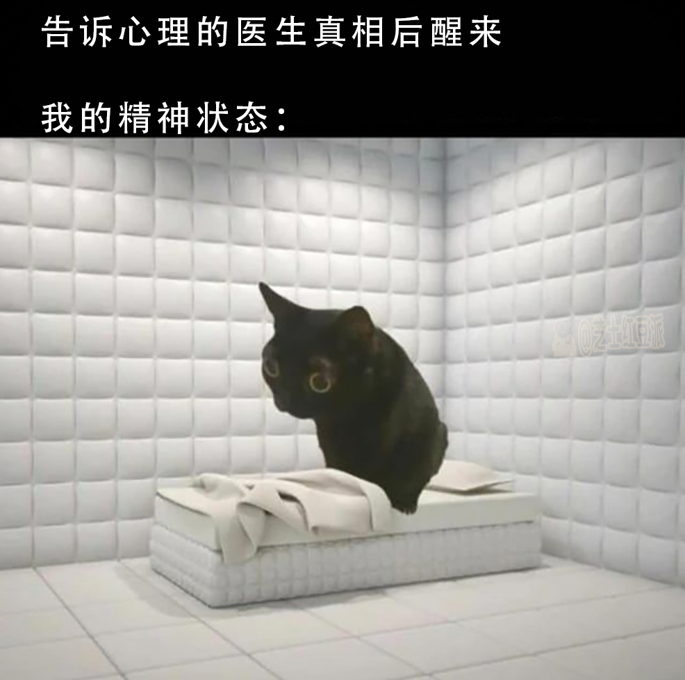 你到底跟他说了些什么！！你到底说了什么！！#meme# #(:-D)# ​​​