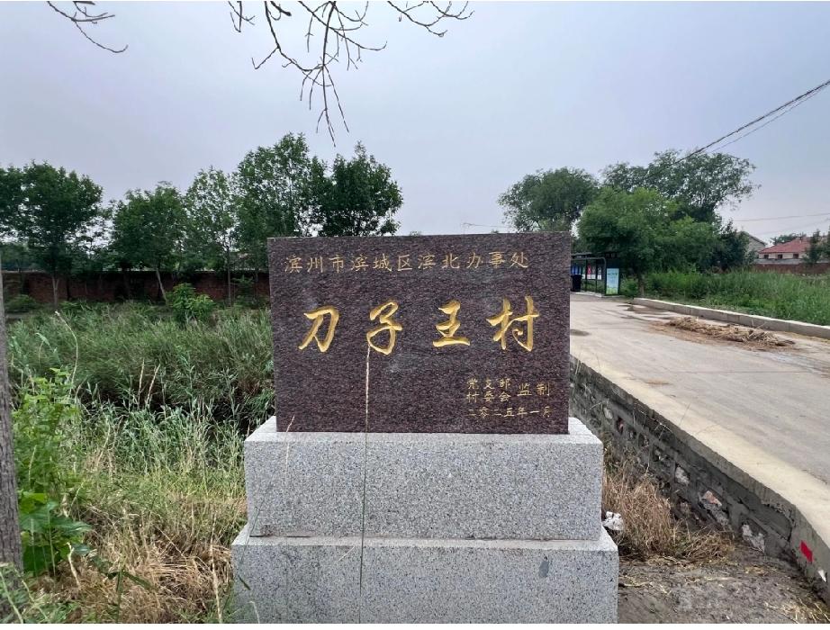 山东滨州滨城区滨北街道刀子王村

早在清朝嘉庆年间称榆林村，刀子王史志记载曾有“