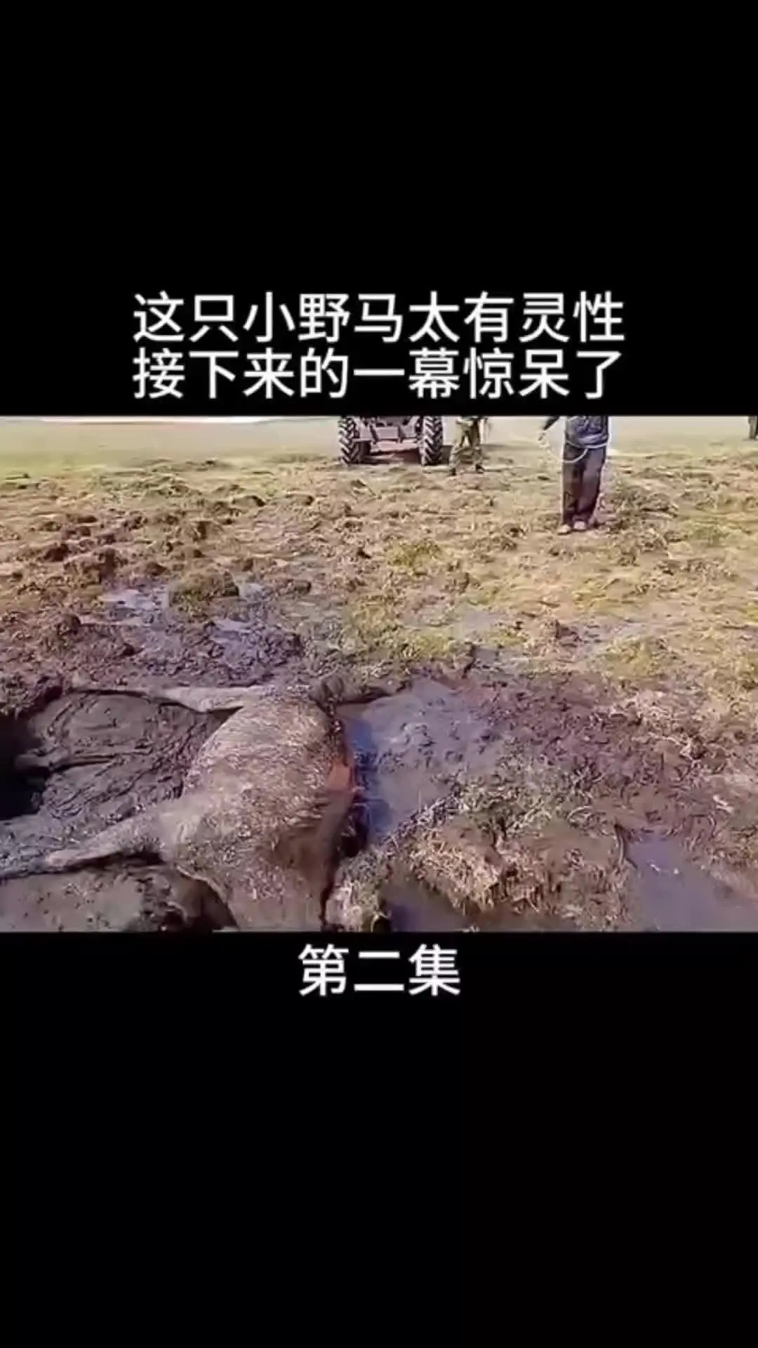 我的观影报告 内容启发搜索