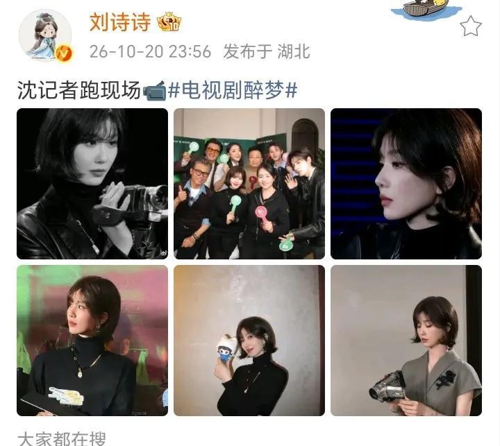 10月20日，演员刘诗诗在个人社交平台分享了一组活动美照。这次，刘诗诗罕见以短发