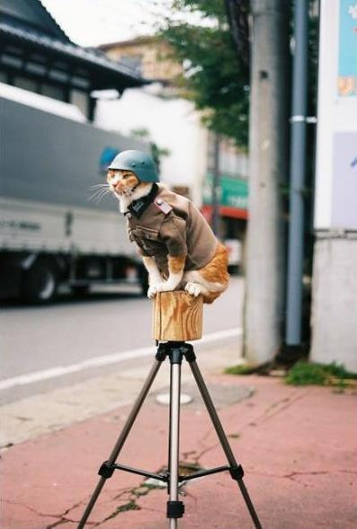 你爱当笨蛋就去当吧，你有这个权利。——王小波 ​​​