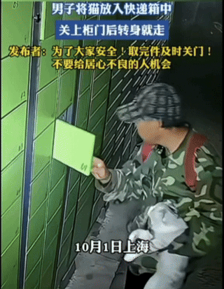 缺大德！
一男子抱着一只银渐层，打开了一个快递柜，确认柜子空着，二话不说塞进去就
