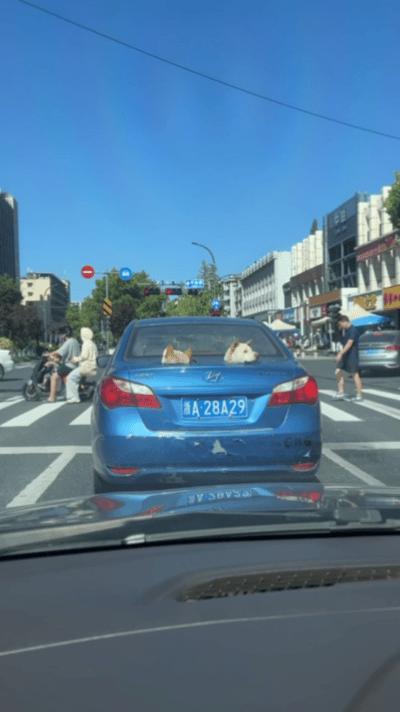 只记录不存储的记录仪 ​​​