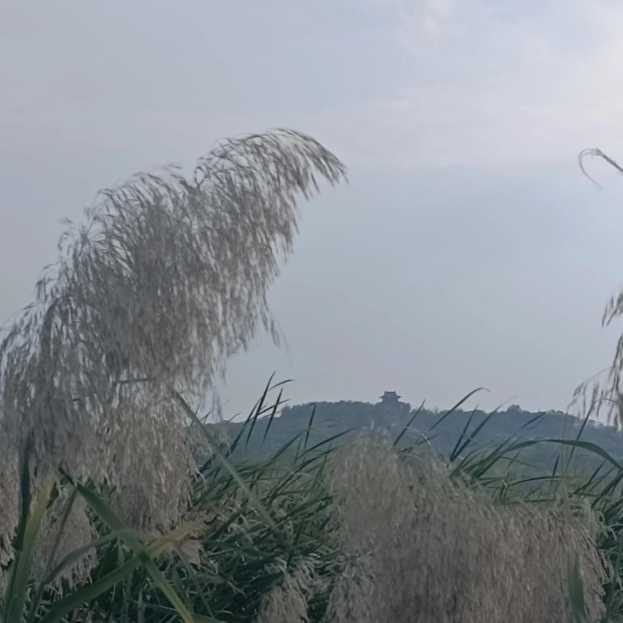 中疾控新系统上线后，全国任何公立医院只要输入身份证号，就能查出一个人有没有艾滋、