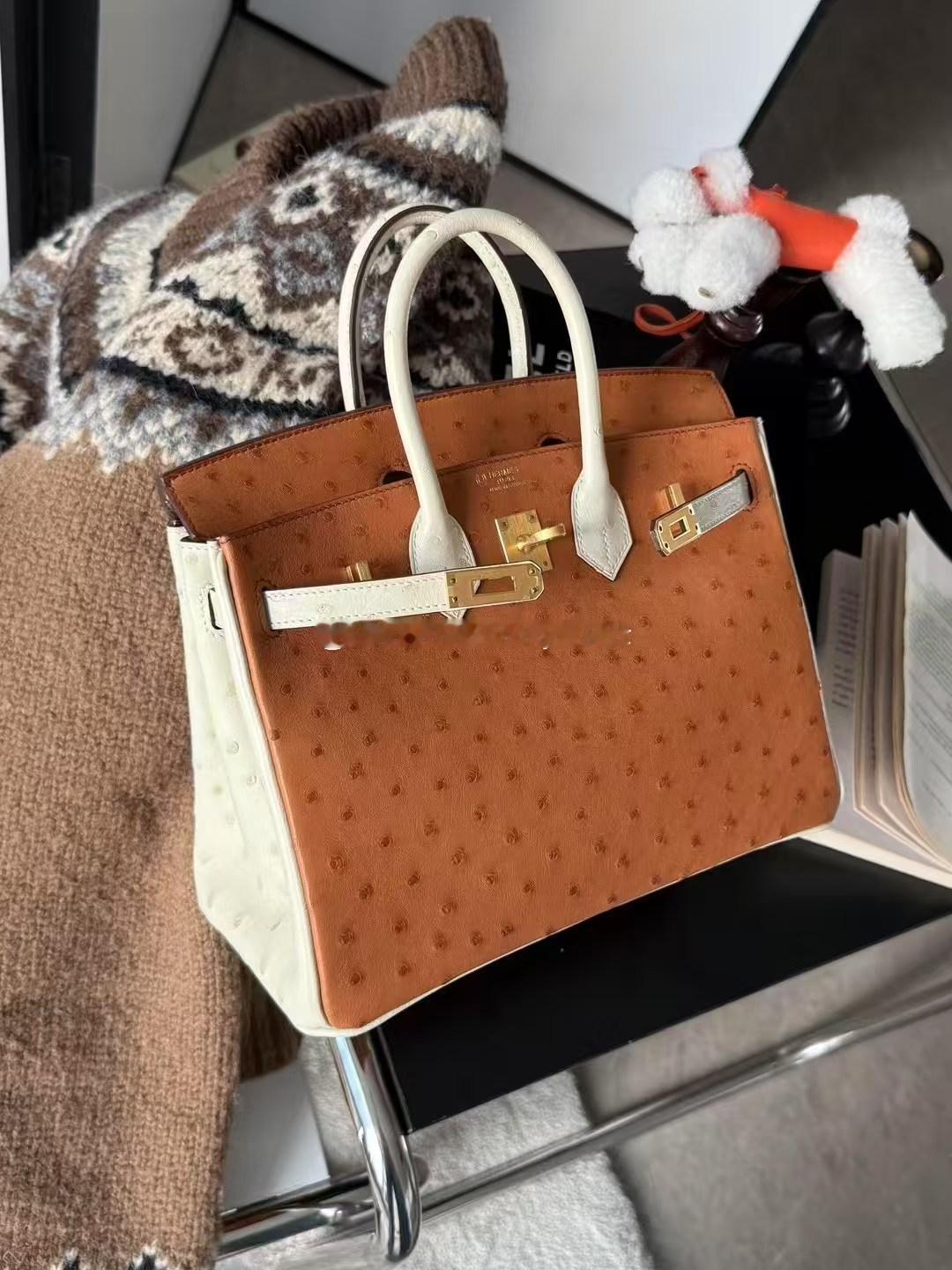 Birkin 25cm 鸵鸟皮 拼色 金扣 
