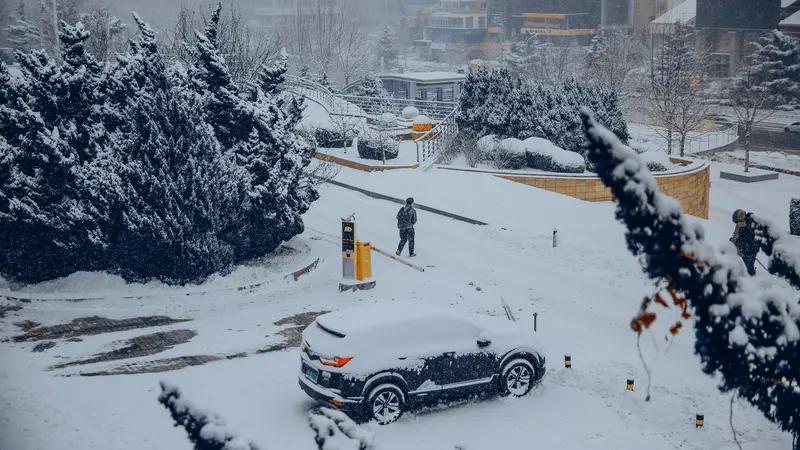 威海暴雪疯下24小时！积雪超20厘米交通瘫痪，却被这群人暖哭了
 
家人们快看！