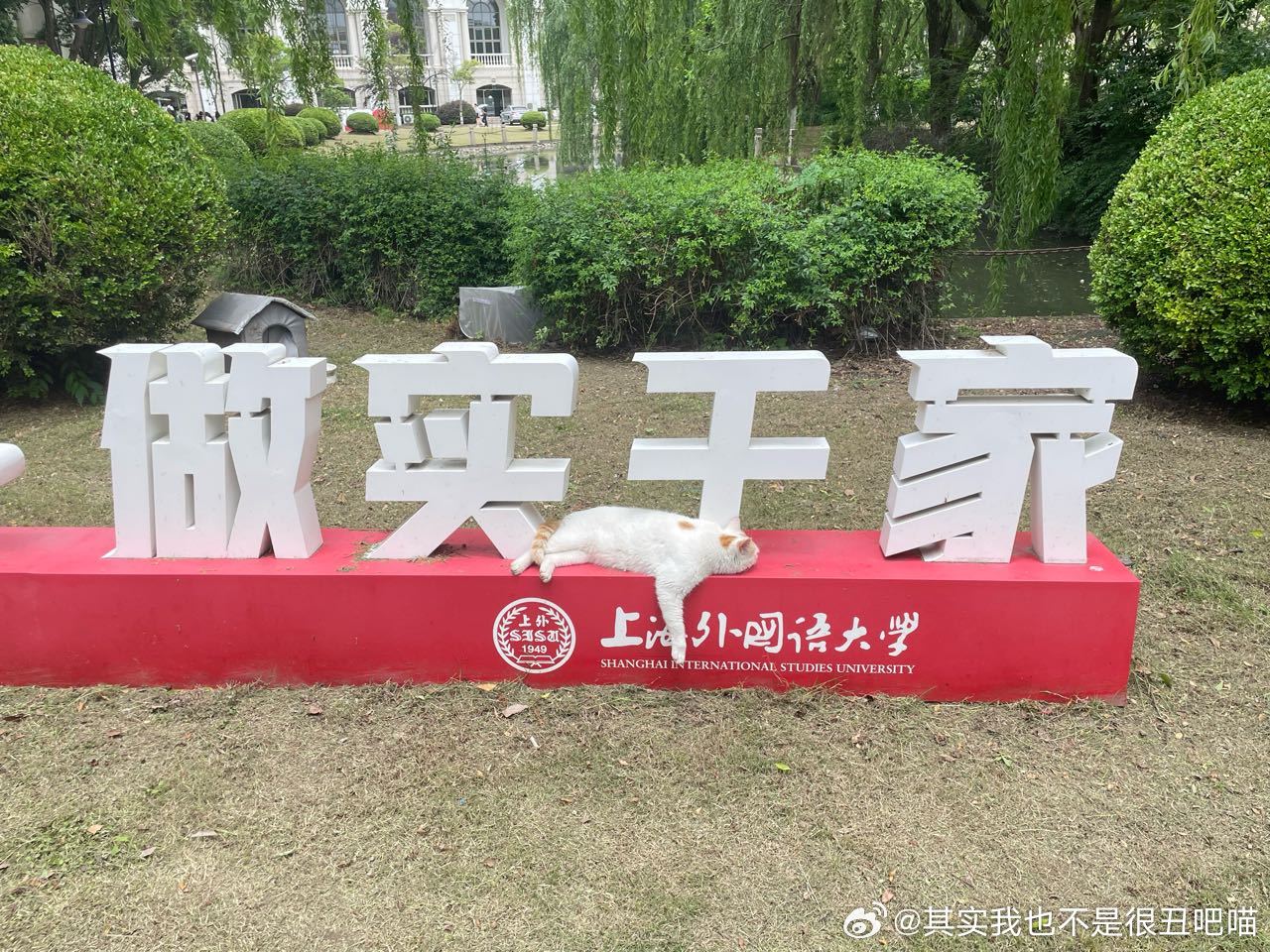 49467【心灵丑】名不副实 