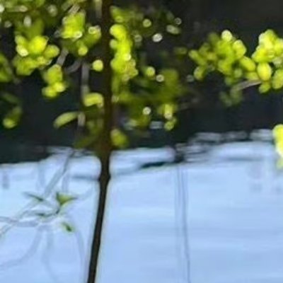 阳光信用 🌿每日一善 🌿阳光信用 努力去做一个温暖的人,用真心对世界微笑,用