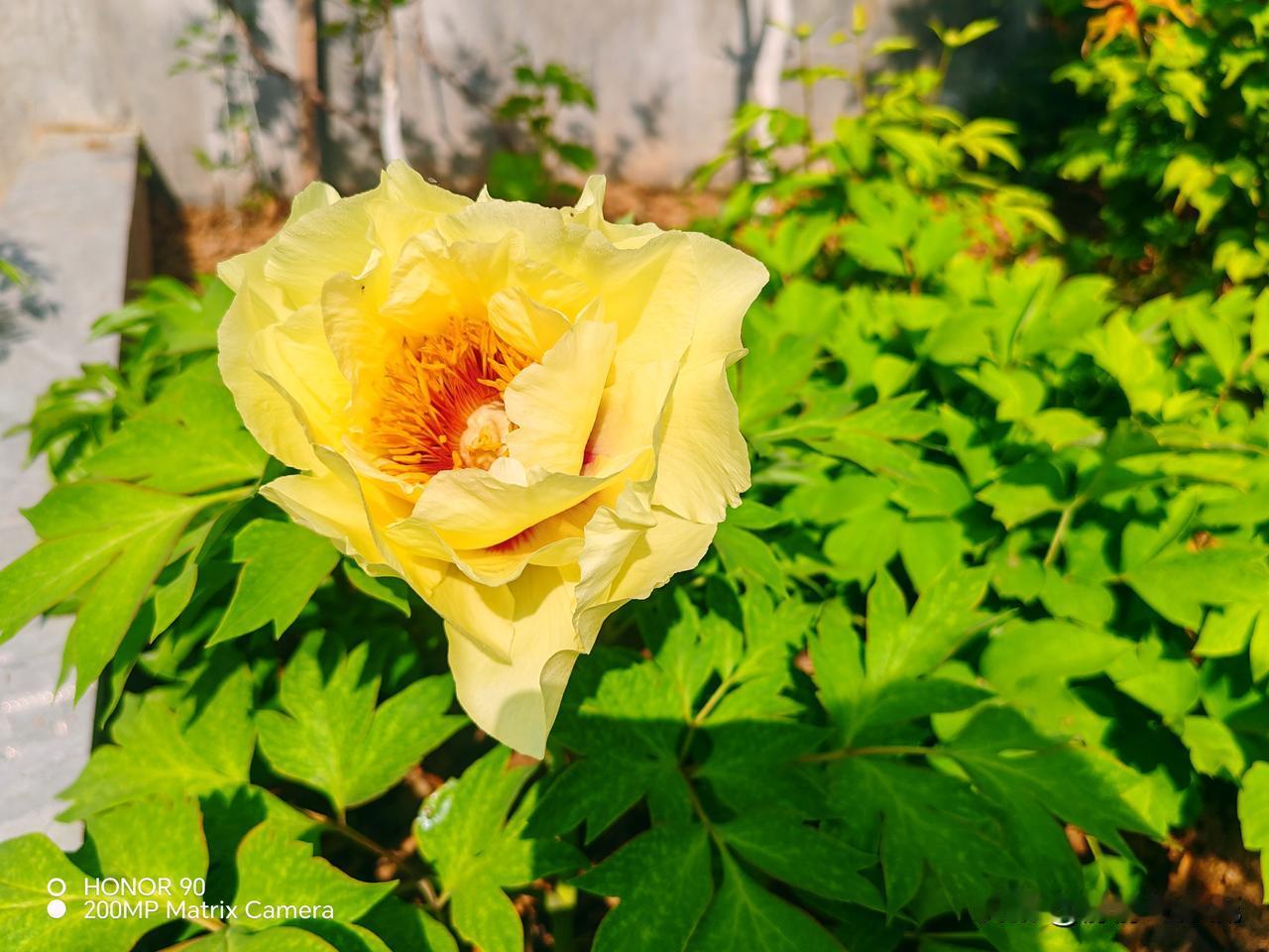 男子挖出11斤黄金上交博物馆，半年后去参观时发现，黄金变成了8斤，专家：这属于正