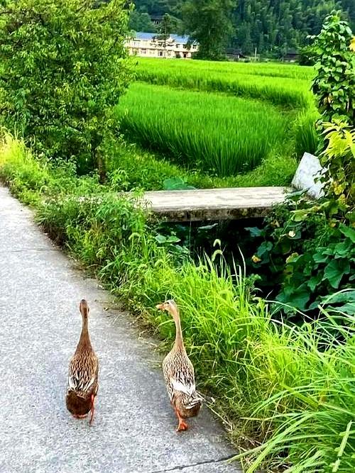 夜里翻看手机，几条语音、好几通未接，短信只留一句：“怕黑就把灯开着。”结婚33年