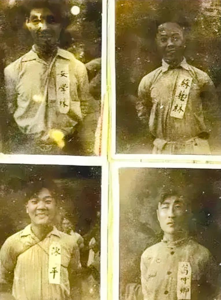 1950年，因为叛徒出卖，安学林、苏艺林、陈平、葛仲卿等人在台湾就义前，留下了一