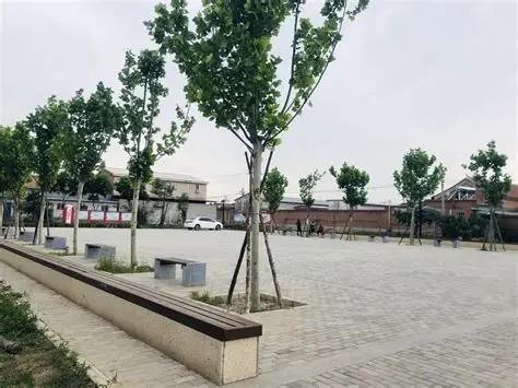 我们这里不打头也不打心脏，按直了从肛门捋顺了开枪，一枪到顶

在山东乐陵大孙村惨