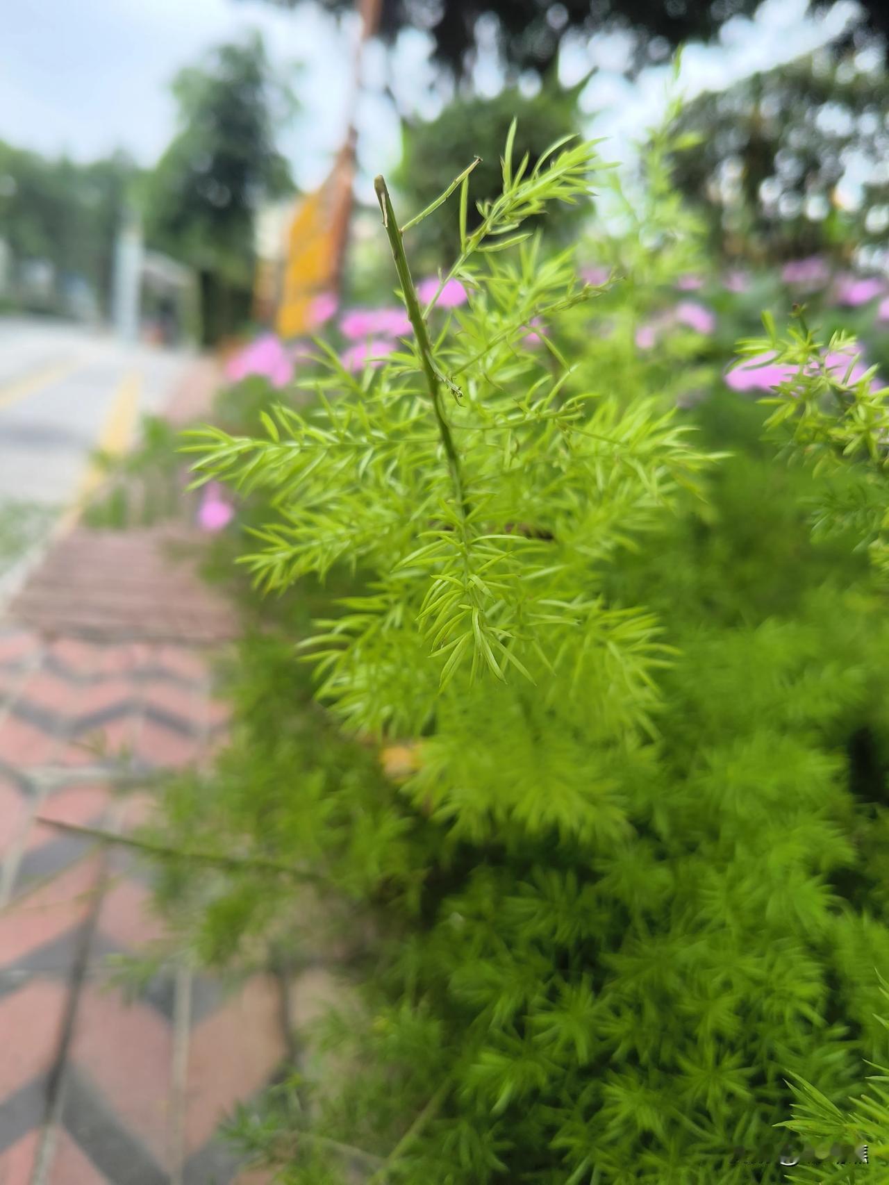 有些事真的不需要答案。
突然的冷淡，
回消息的速度，
那些忽冷忽热的态度，
其实