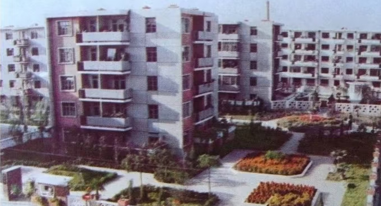 这是天津90年代哪个小区🏘️啊？ 