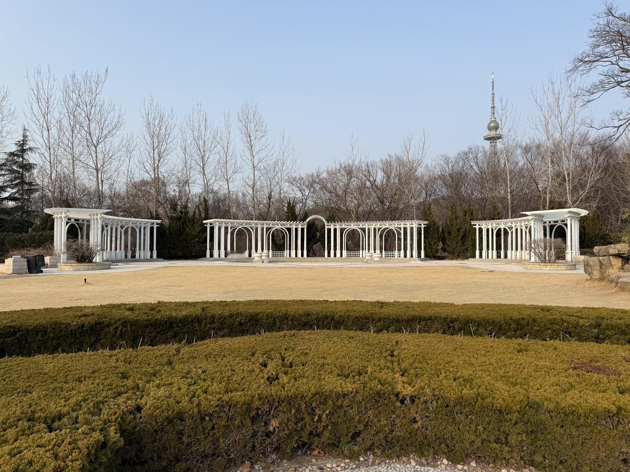 记录我的2026中山公园绿道