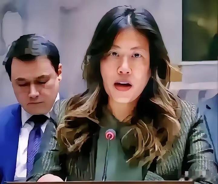 美国驻联合国副代表吴婷（吴雪婷）系华裔第二代移民，却极度反华，处处与中国作对。其