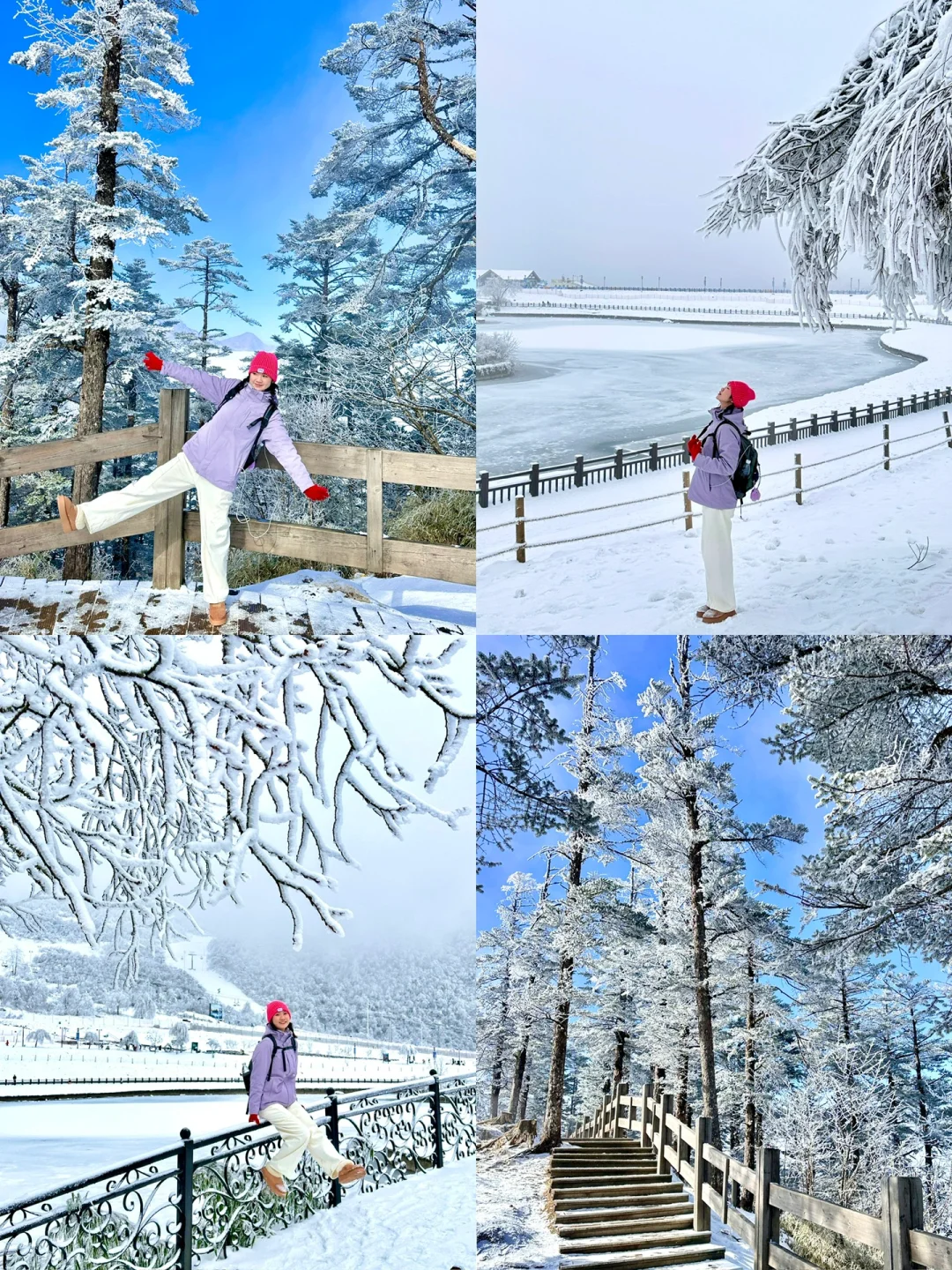 12.24！！西岭雪山！！实拍！！太太太美了……