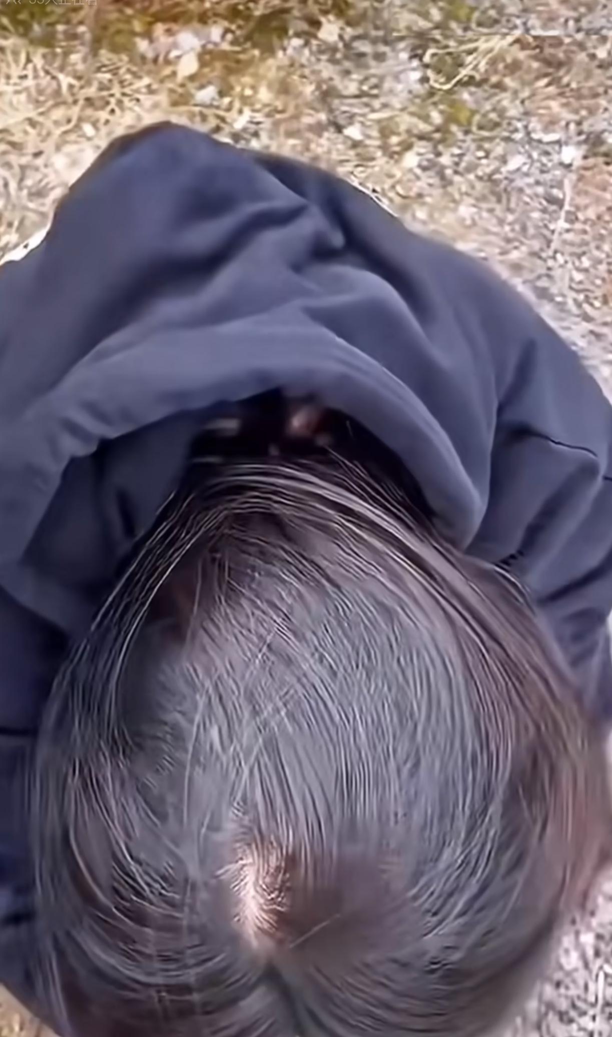 感觉乘务长王文洁有些错付了，

自己面对困难的时候，

心爱之人许晟骜在一旁冷眼