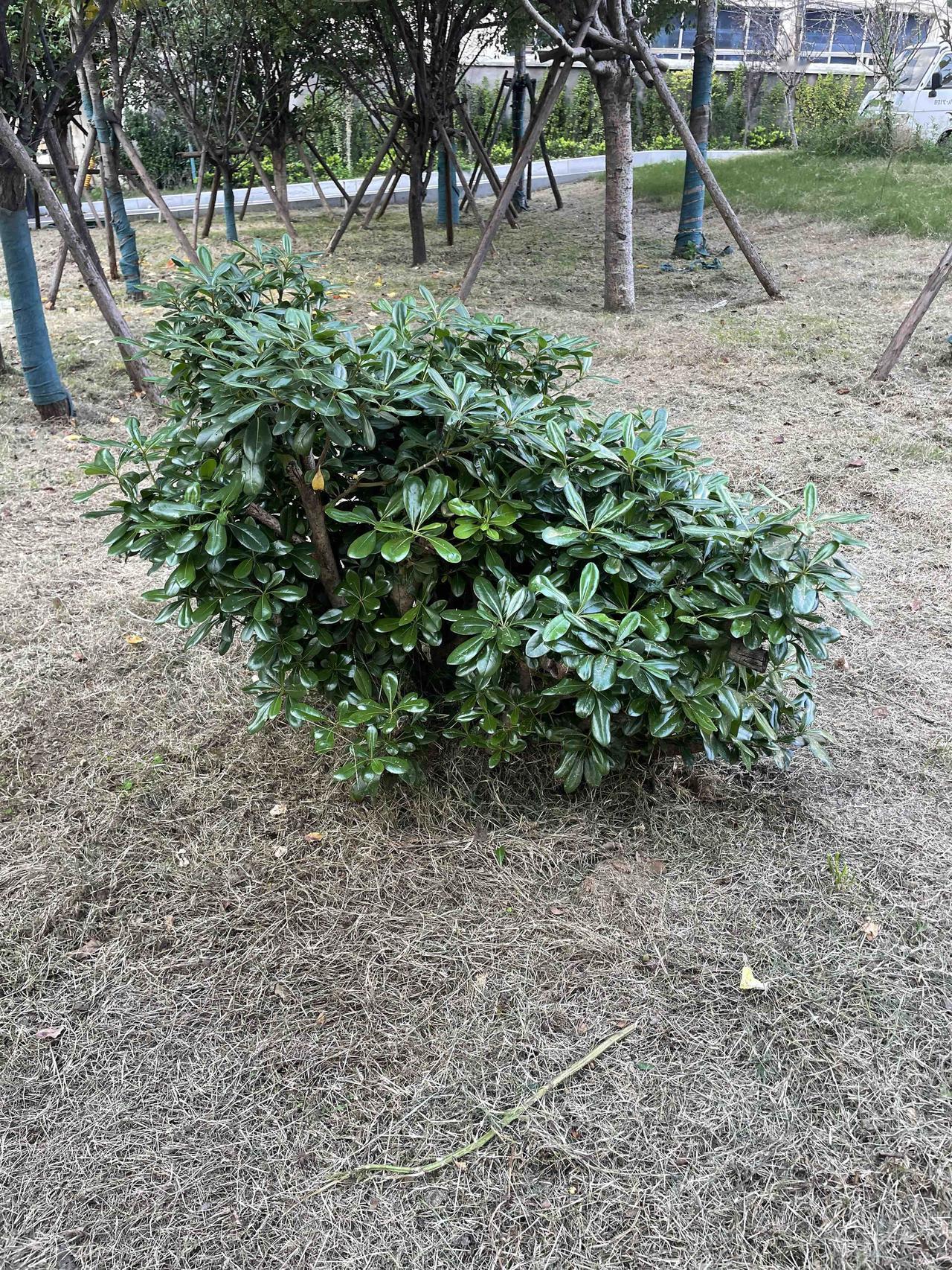 晒晒你镜头下的家乡