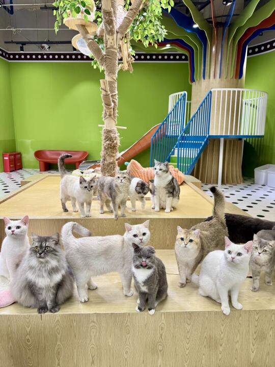 🐾这家萌宠乐园真的是快乐老家！