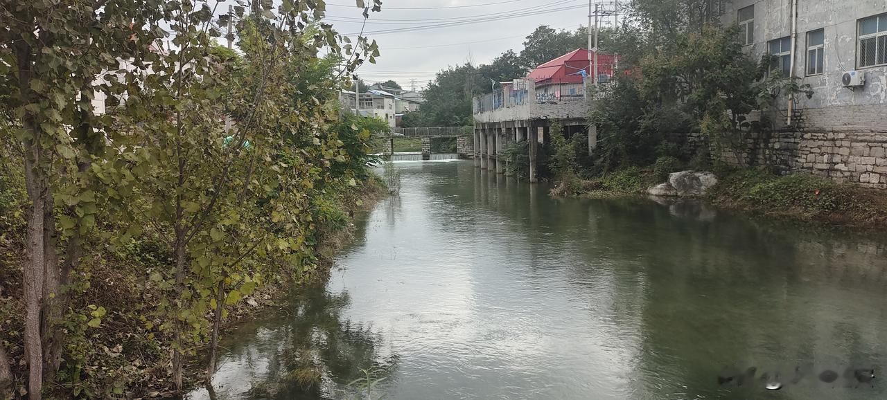 如今，高楼大厦包围了我们的生活。有时候总想着回到小时候，绿树环保的农村，那时候，