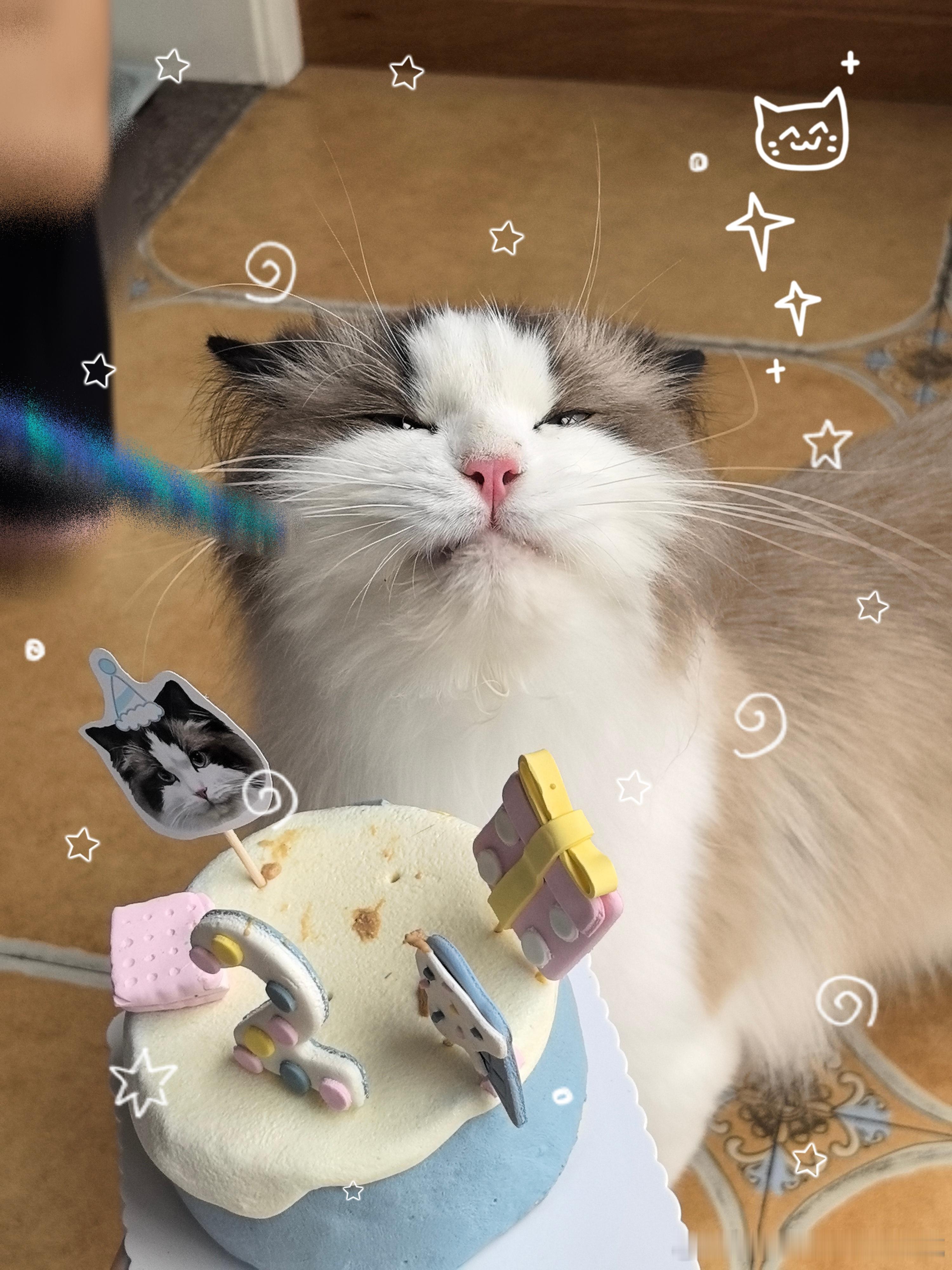 你还是没放过它，我本以为生日全都是美照 