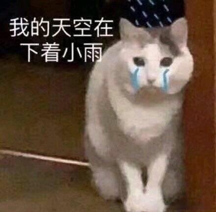 12星座里，有三种“嘴硬”最让人心疼：一种是狮子，明明想挽留，非要昂着头说“你走