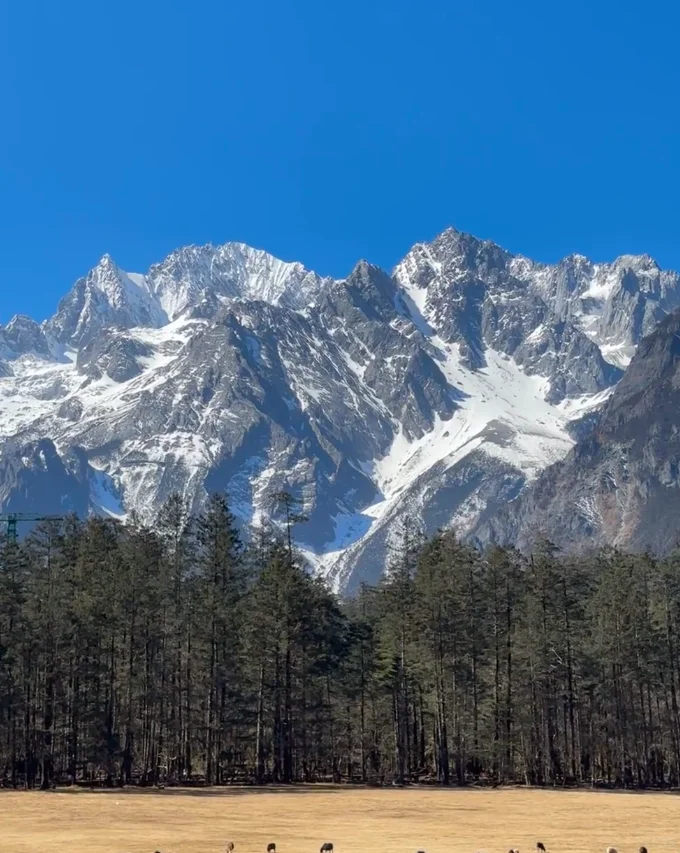 玉龙雪山云杉坪值得去吗？