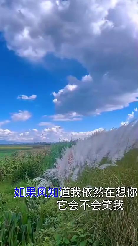 演唱：洋澜一完整版。
总是莫名的难过，总是忽然的失落。如果风知道我依然在想你，它