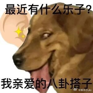 #在内娱当男团别太巴适了# 哈哈哈哈哈哈这明明在说内娱男团要啥啥不行，结果现在变