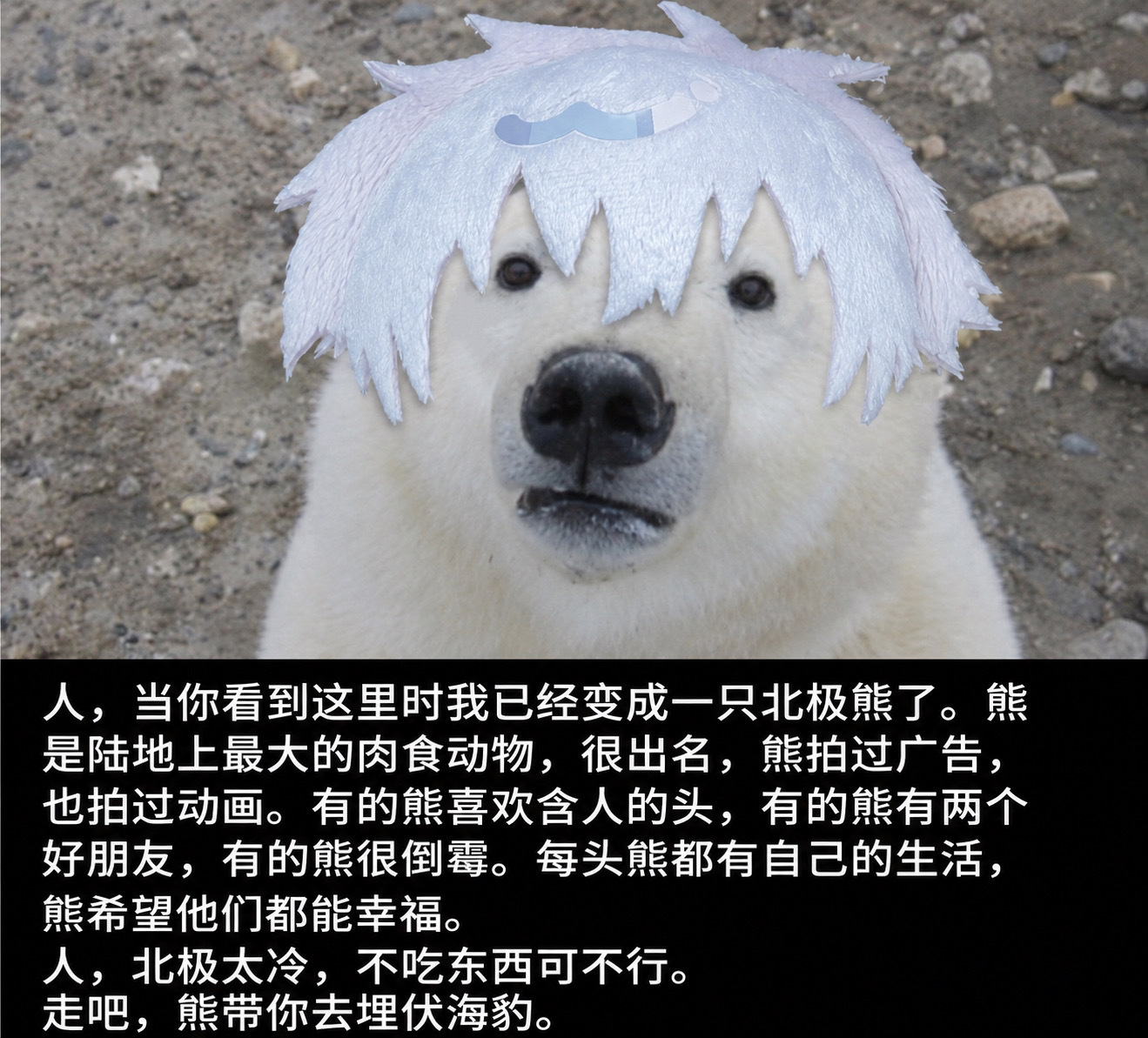 不接劳务电话劳务就这样 