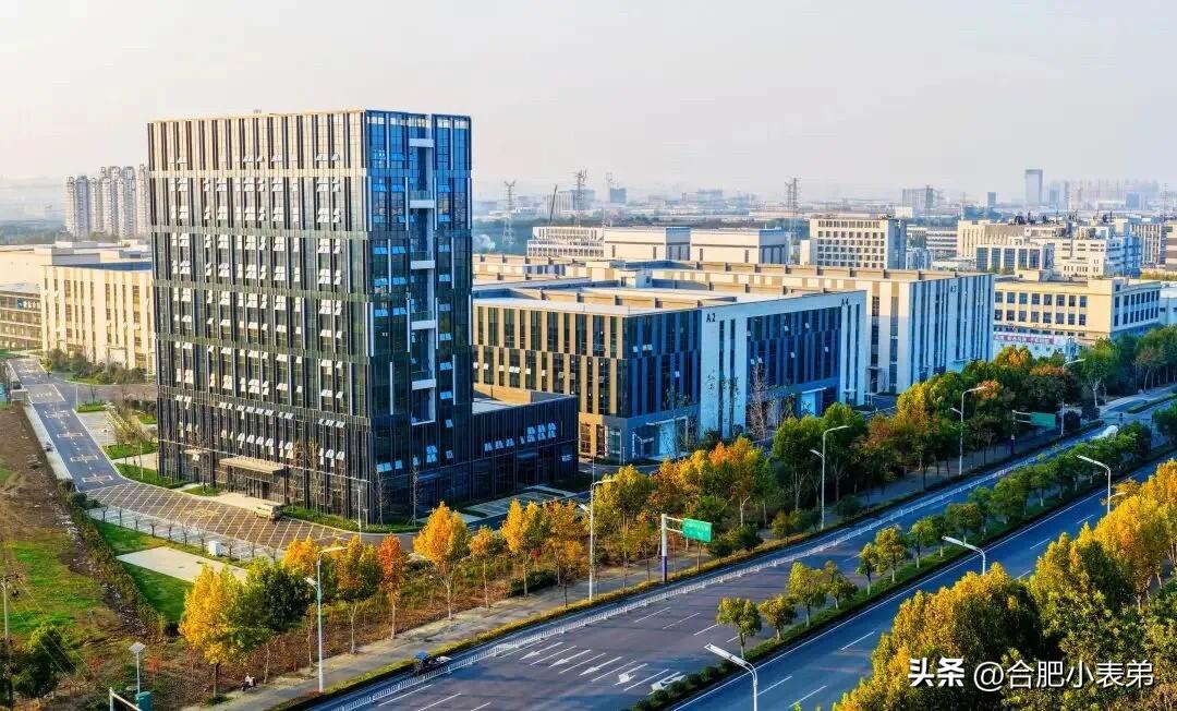 总投资10亿！又一重磅项目落地合肥！[赞][赞][赞]

3月6日，合肥新站高新