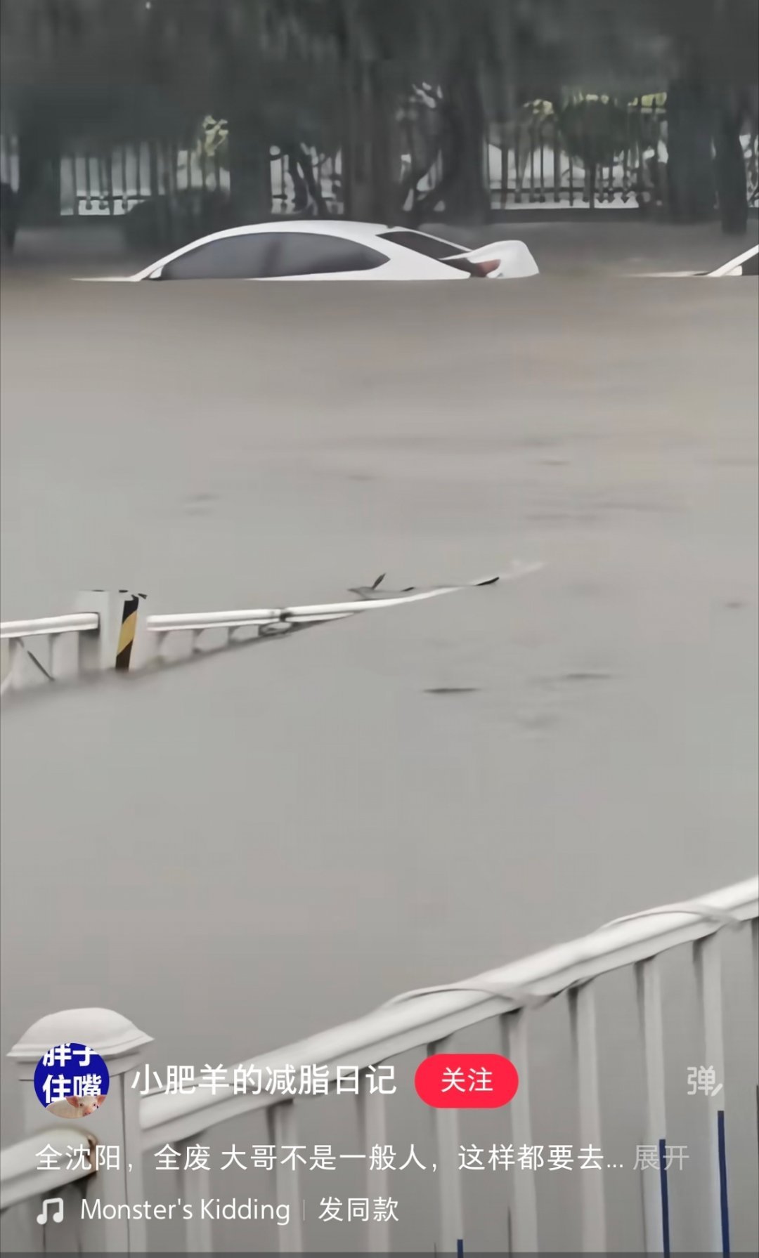 青岛 海水倒灌网上看到一个视频，沈阳也沦陷了，疑似一位大哥游泳去上班
