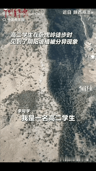 陕西，一名高二男生在卧虎岭徒步时，发现一座东西走向的山脉有着明显的植被分异现象，