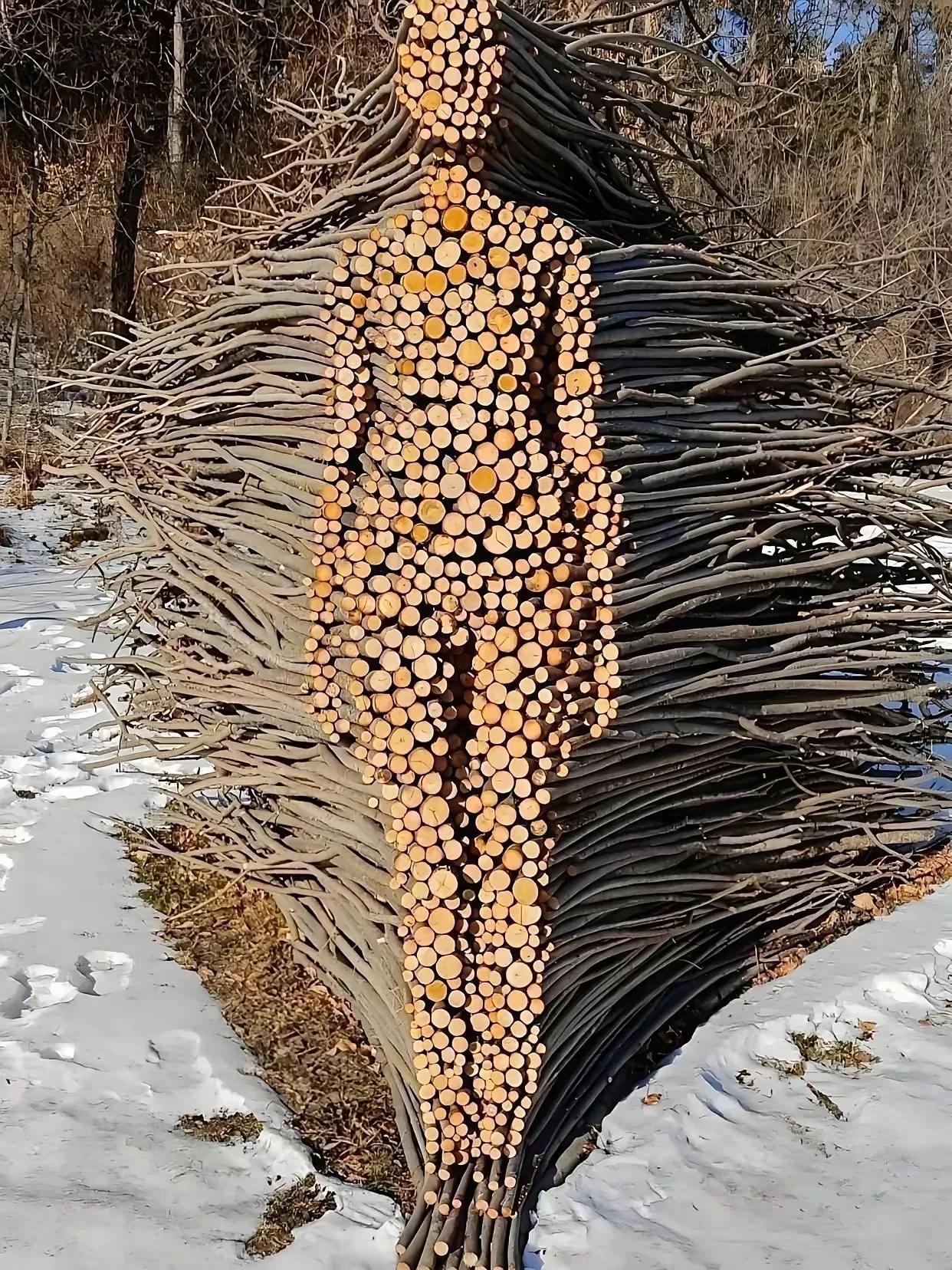 惟妙惟肖、无处不在的美！
生活中的美,常常在细微处悄然绽放,等待我们细心寻觅。