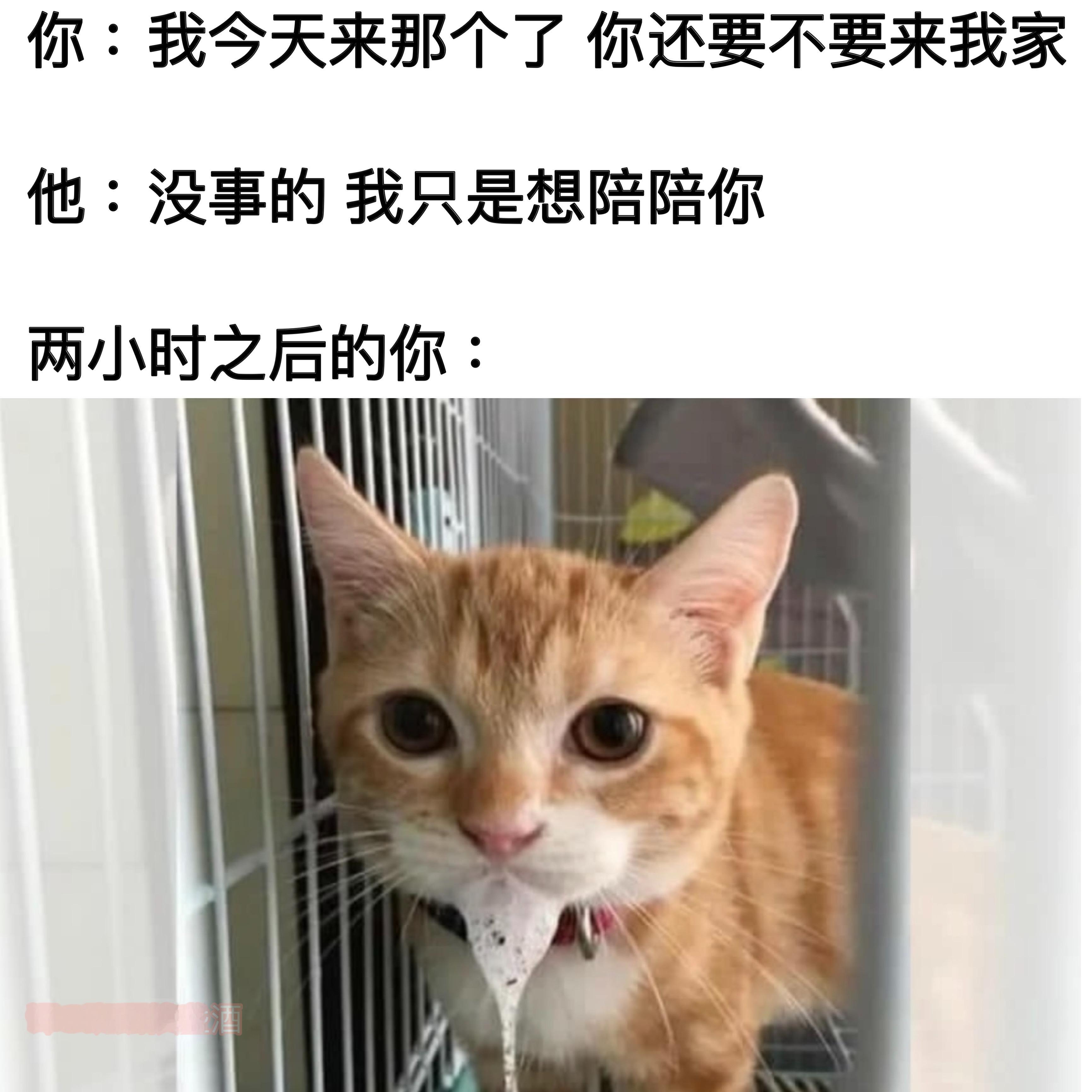 是你太美了 宝贝#meme# ​​​